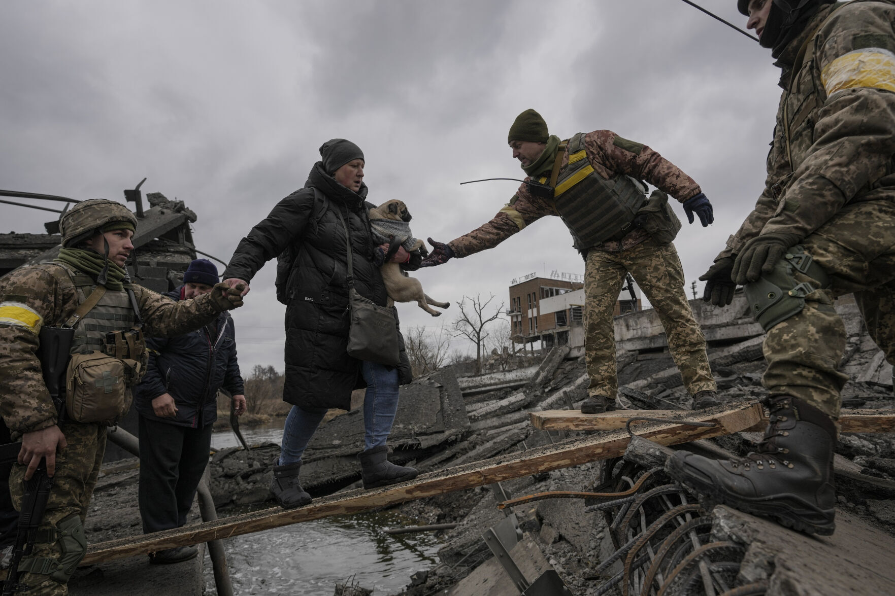 Russia Ukraine War Pets Photo Gallery